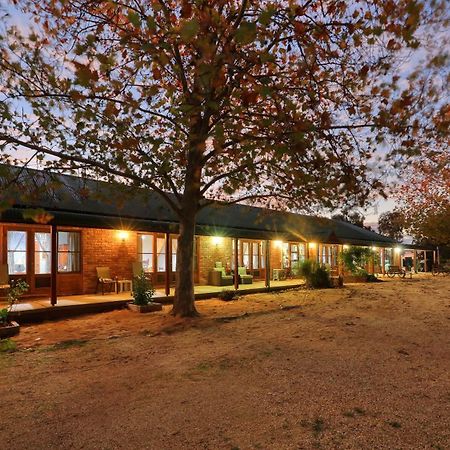 The Vineyard Motel Cowra Exteriör bild