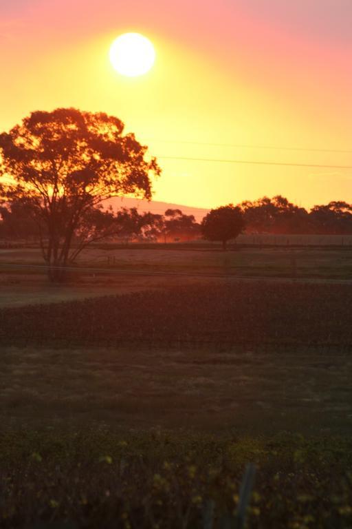 The Vineyard Motel Cowra Exteriör bild