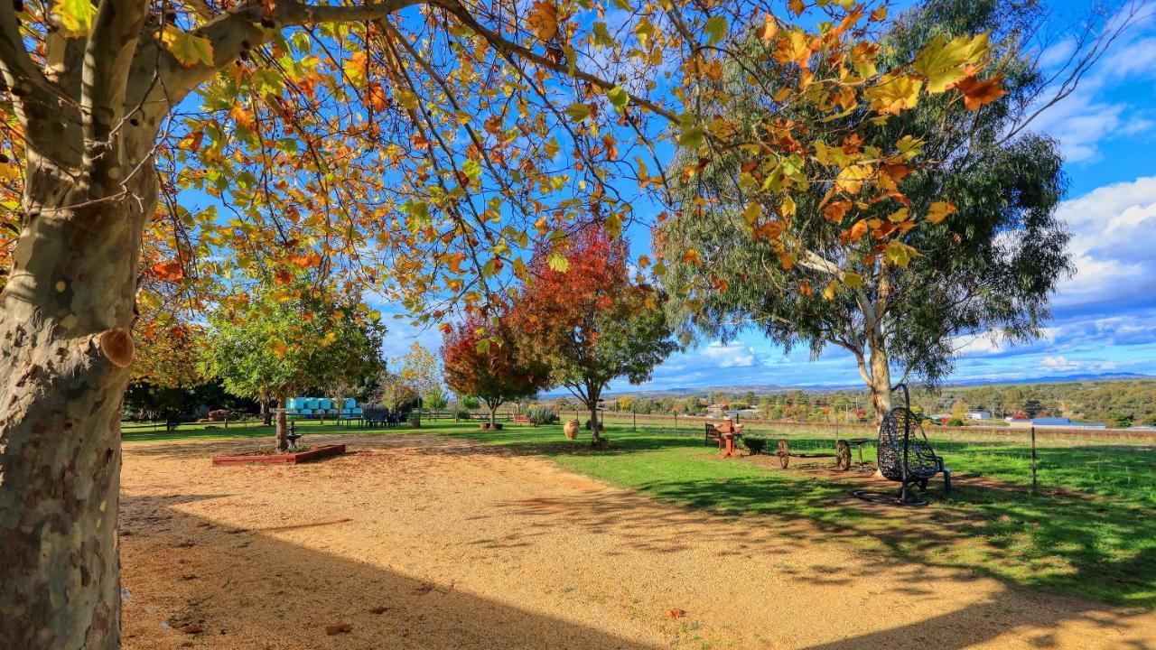The Vineyard Motel Cowra Exteriör bild