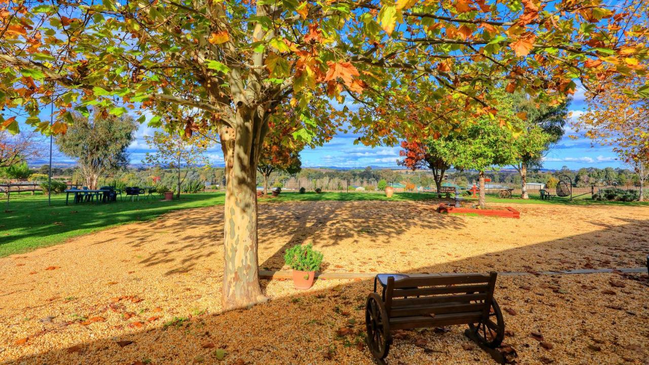 The Vineyard Motel Cowra Exteriör bild
