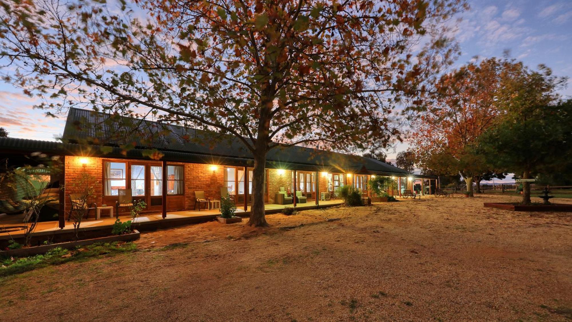 The Vineyard Motel Cowra Exteriör bild