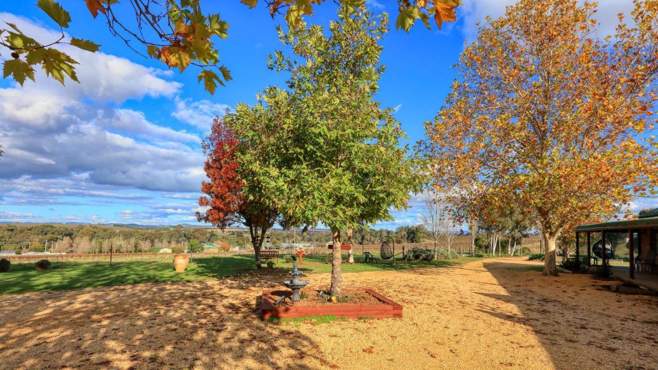 The Vineyard Motel Cowra Exteriör bild