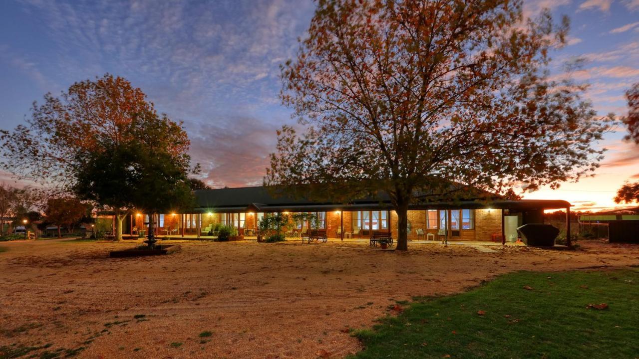 The Vineyard Motel Cowra Exteriör bild
