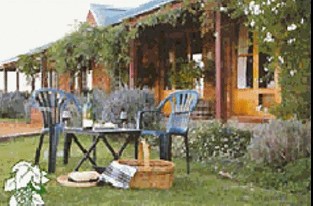 The Vineyard Motel Cowra Exteriör bild